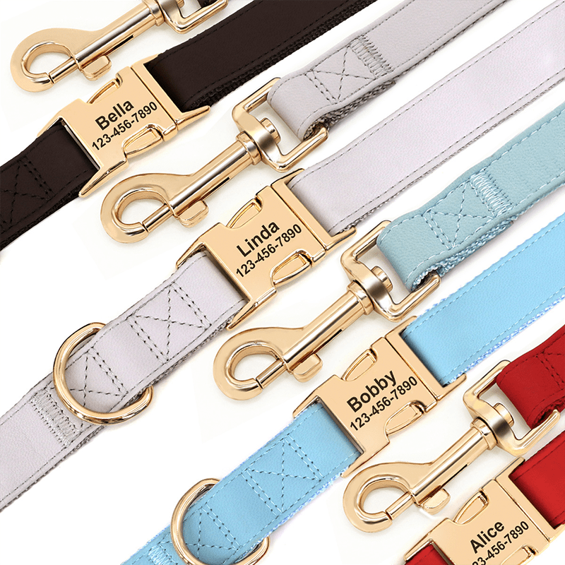 Adjustable Engraved Dog Collar Anti - Loss with Leash for Medium & Large Dogs - PIKAPIKA