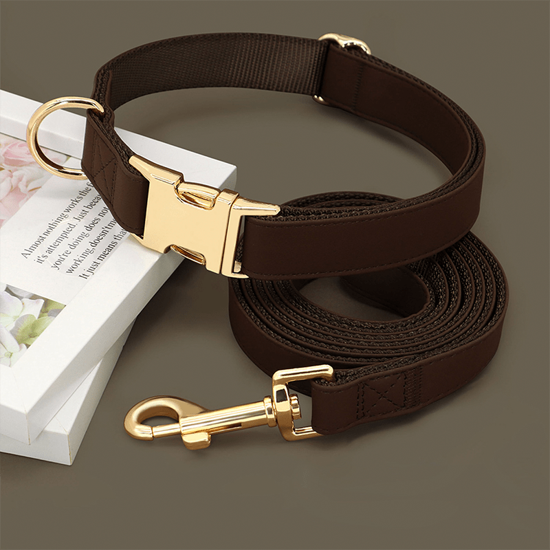 Adjustable Engraved Dog Collar Anti - Loss with Leash for Medium & Large Dogs - PIKAPIKA