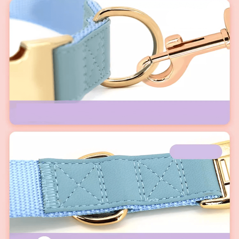 Adjustable Engraved Dog Collar Anti - Loss with Leash for Medium & Large Dogs - PIKAPIKA