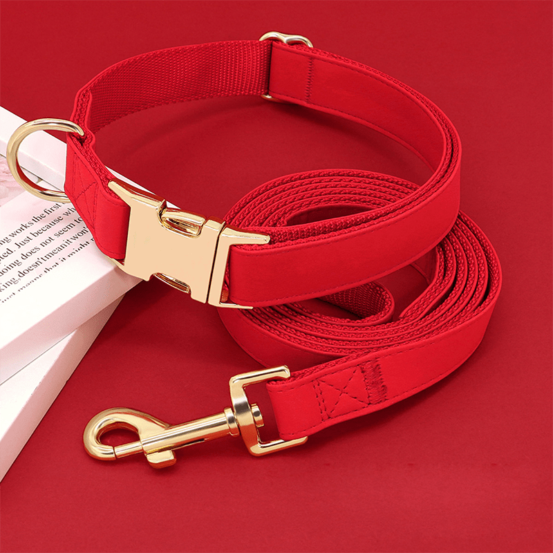 Adjustable Engraved Dog Collar Anti - Loss with Leash for Medium & Large Dogs - PIKAPIKA