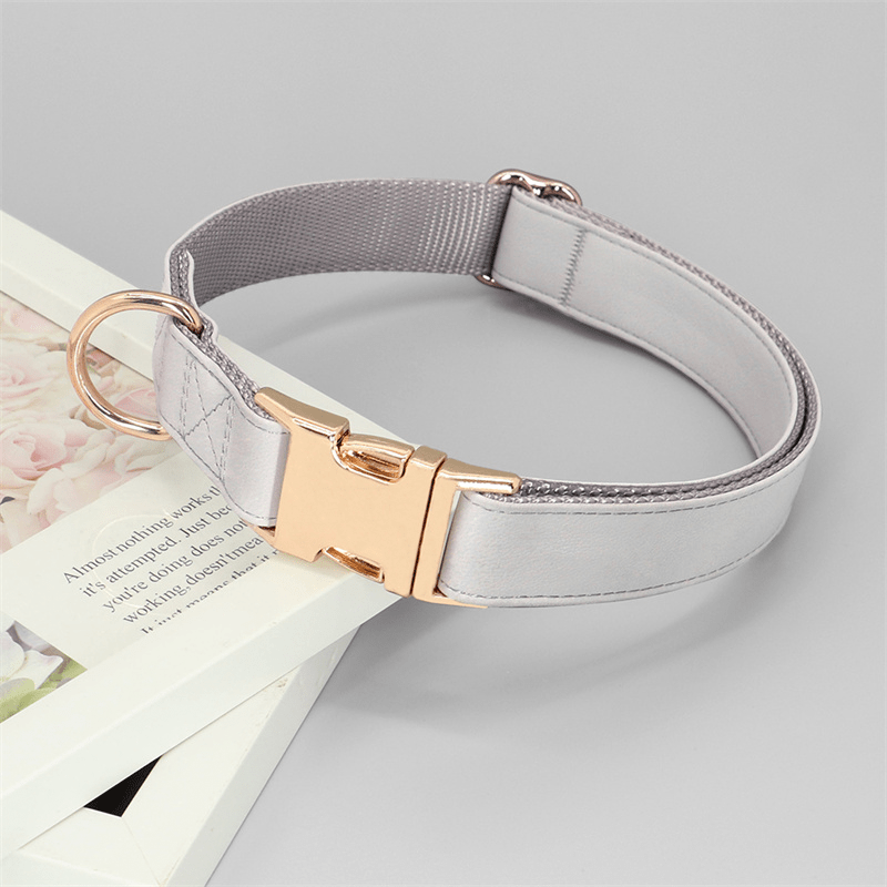 Adjustable Engraved Dog Collar Anti - Loss with Leash for Medium & Large Dogs - PIKAPIKA