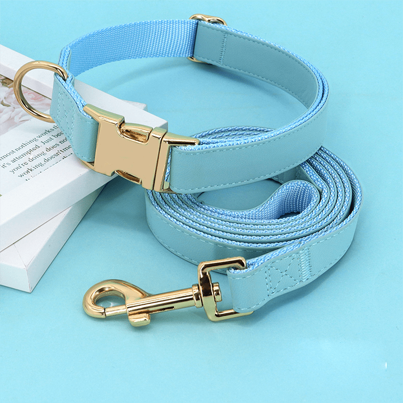 Adjustable Engraved Dog Collar Anti - Loss with Leash for Medium & Large Dogs - PIKAPIKA