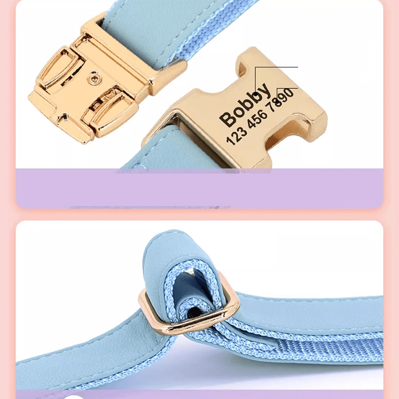 Adjustable Engraved Dog Collar Anti - Loss with Leash for Medium & Large Dogs - PIKAPIKA