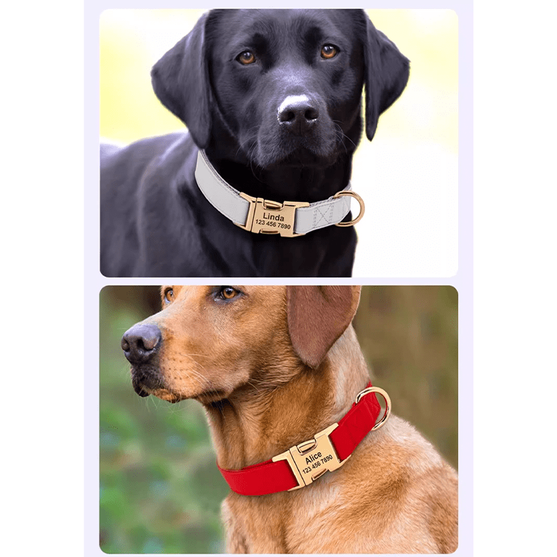 Adjustable Engraved Dog Collar Anti - Loss with Leash for Medium & Large Dogs - PIKAPIKA