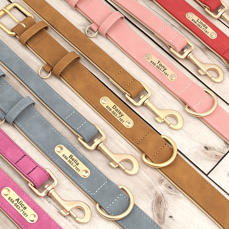 Adjustable No - Pull Double - Layer Leather Dog Collar - PIKAPIKA