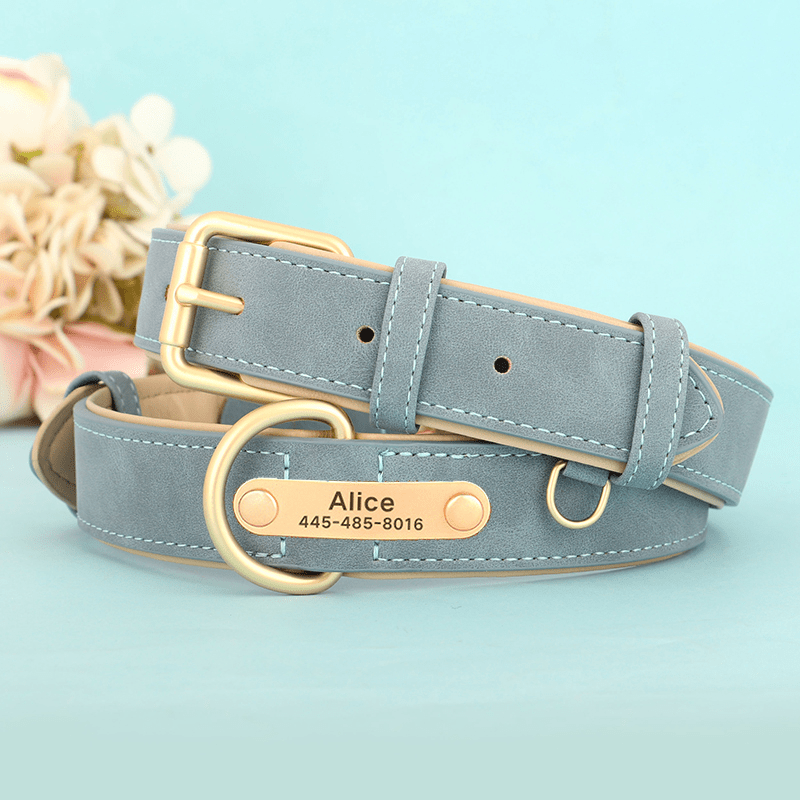 Adjustable No - Pull Double - Layer Leather Dog Collar - PIKAPIKA