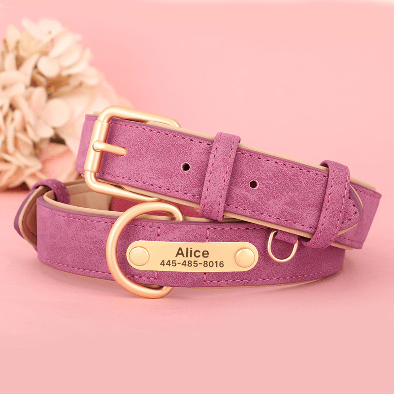 Adjustable No - Pull Double - Layer Leather Dog Collar - PIKAPIKA