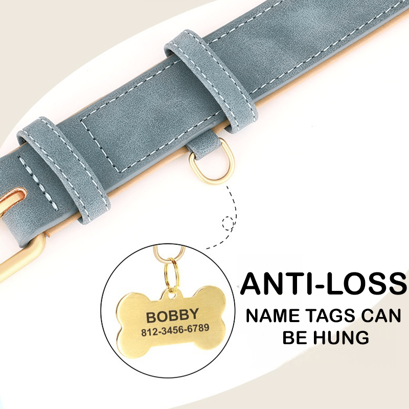 Adjustable No - Pull Double - Layer Leather Dog Collar - PIKAPIKA