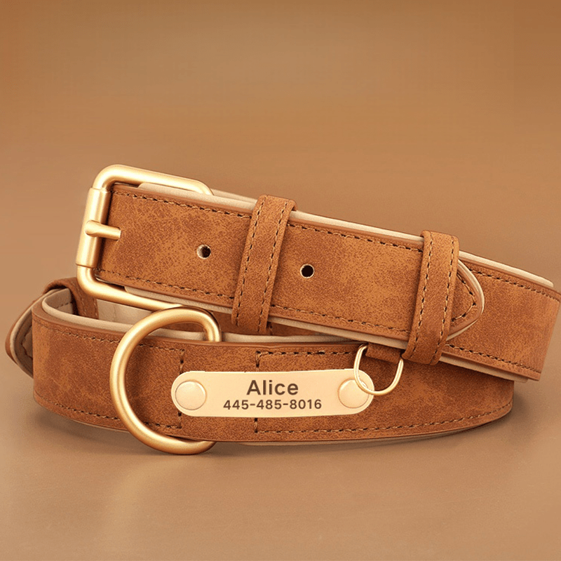 Adjustable No - Pull Double - Layer Leather Dog Collar - PIKAPIKA