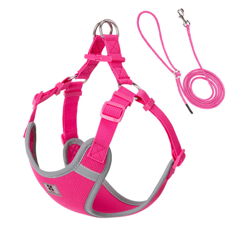 Adjustable Summer Vest Dog Leash Harness for Small Medium Big Dogs - PIKAPIKA