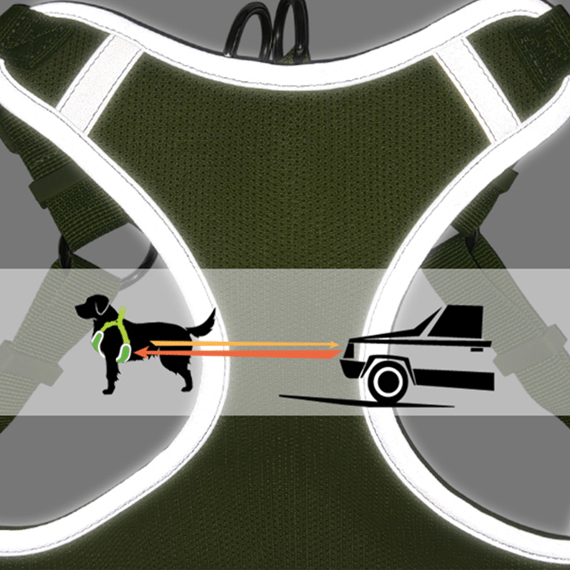 Adjustable Summer Vest Dog Leash Harness for Small Medium Big Dogs - PIKAPIKA