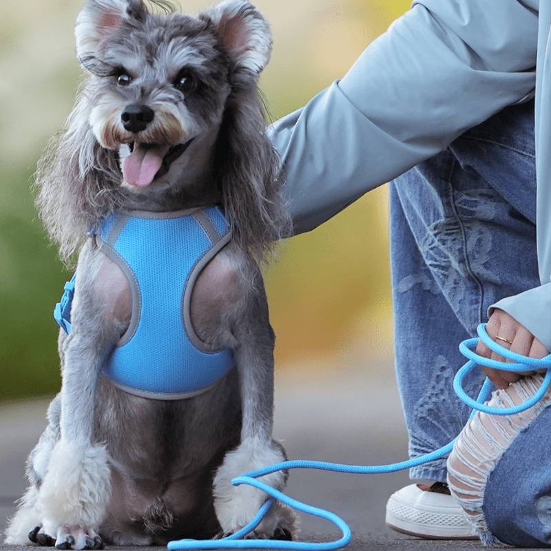 Adjustable Summer Vest Dog Leash Harness for Small Medium Big Dogs - PIKAPIKA