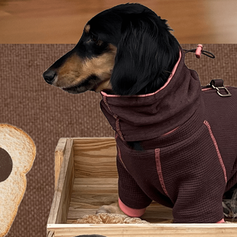 Adjustable Winter Scarf Warm for Dachshunds - PIKAPIKA