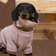 Adjustable Winter Scarf Warm for Dachshunds - PIKAPIKA