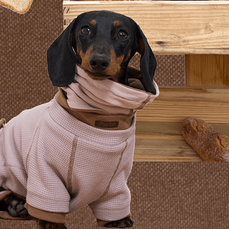 Adjustable Winter Scarf Warm for Dachshunds - PIKAPIKA