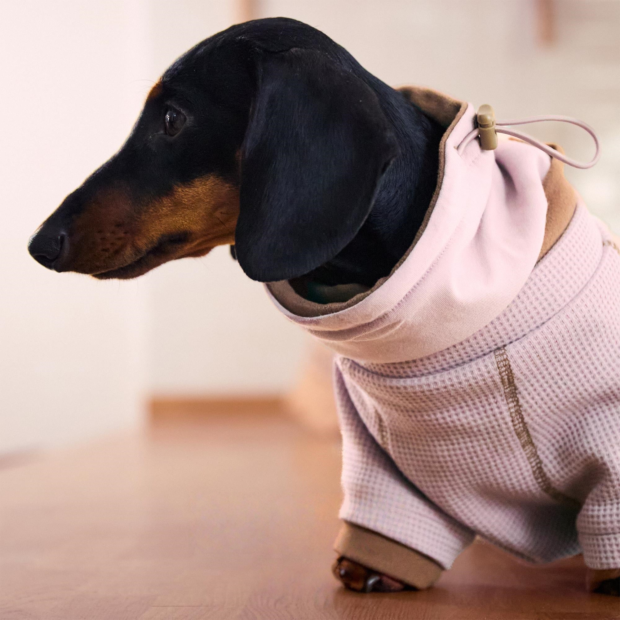 Adjustable Winter Scarf Warm for Dachshunds - PIKAPIKA