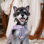 BELO Retro Plaid Dog Dress – Adorable Outfit for Small Dogs and Puppies
