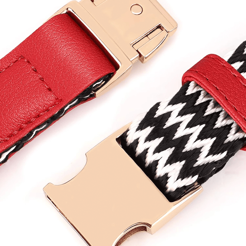 Anti - Loss Pet Necklace Dog Collar with Name Tag - PIKAPIKA