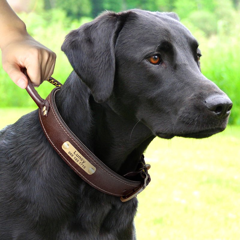 Anti - pull Leather Dog Collar Leashes Set Adjustable Personalized Name - PIKAPIKA