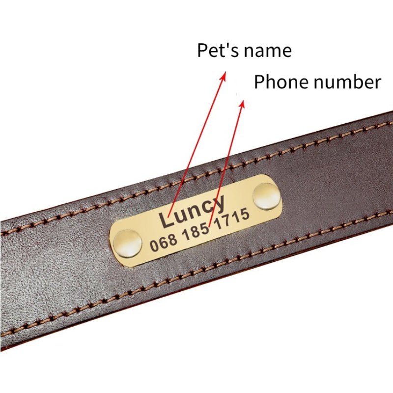 Anti - pull Leather Dog Collar Leashes Set Adjustable Personalized Name - PIKAPIKA