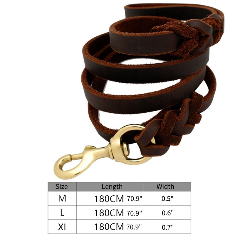 Anti - pull Leather Dog Collar Leashes Set Adjustable Personalized Name - PIKAPIKA