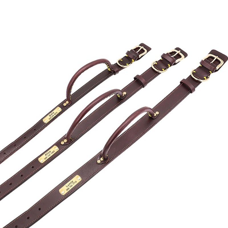 Anti - pull Leather Dog Collar Leashes Set Adjustable Personalized Name - PIKAPIKA
