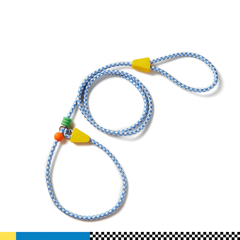 Anti - Pull P - Leash for Dogs No - Choke Training Lead for Small & Medium Breeds - PIKAPIKA