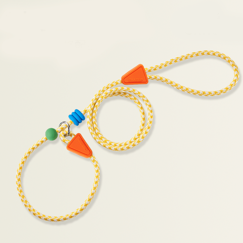 Anti - Pull P - Leash for Dogs No - Choke Training Lead for Small & Medium Breeds - PIKAPIKA