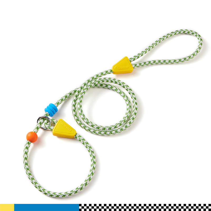 Anti - Pull P - Leash for Dogs No - Choke Training Lead for Small & Medium Breeds - PIKAPIKA