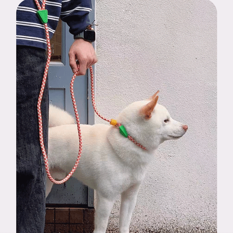 Anti - Pull P - Leash for Dogs No - Choke Training Lead for Small & Medium Breeds - PIKAPIKA