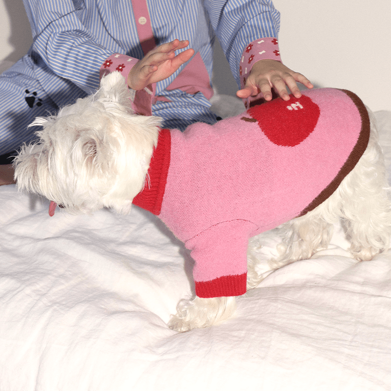 Apple Pattern Dog Knitted Sweater Pullover Cute Jumper - PIKAPIKA