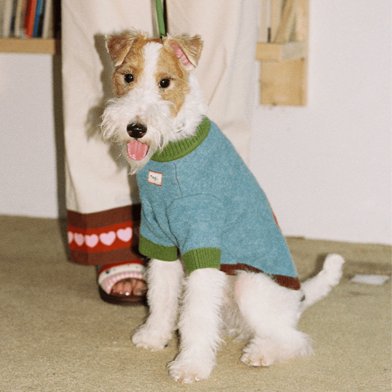 Apple Pattern Dog Knitted Sweater Pullover Cute Jumper - PIKAPIKA