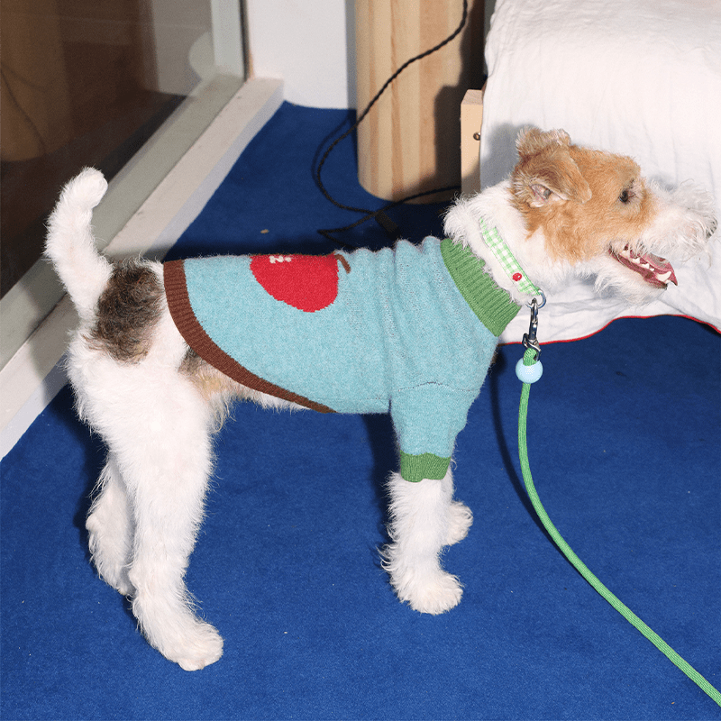Apple Pattern Dog Knitted Sweater Pullover Cute Jumper - PIKAPIKA