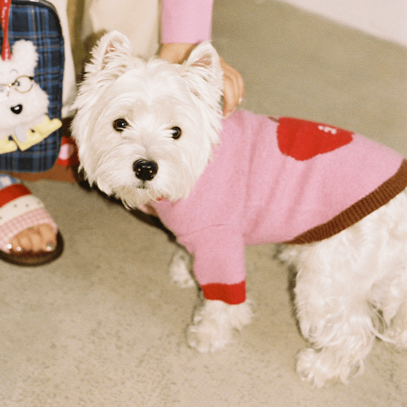 Apple Pattern Dog Knitted Sweater Pullover Cute Jumper - PIKAPIKA