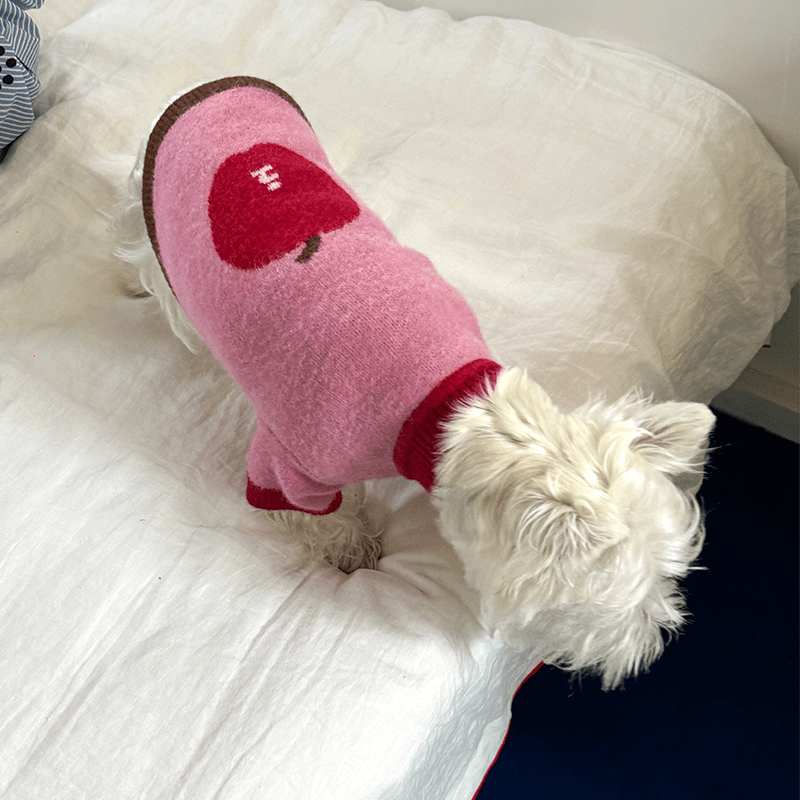 Apple Pattern Dog Knitted Sweater Pullover Cute Jumper - PIKAPIKA