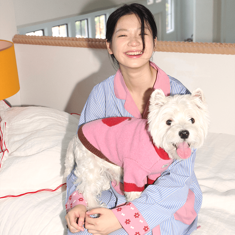 Apple Pattern Dog Knitted Sweater Pullover Cute Jumper - PIKAPIKA