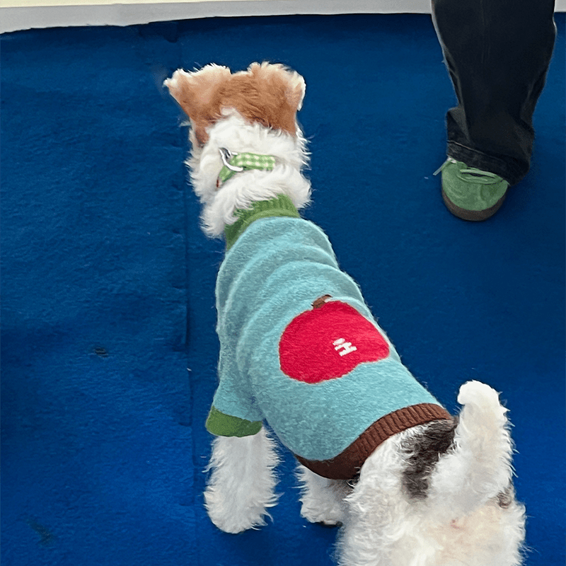 Apple Pattern Dog Knitted Sweater Pullover Cute Jumper - PIKAPIKA