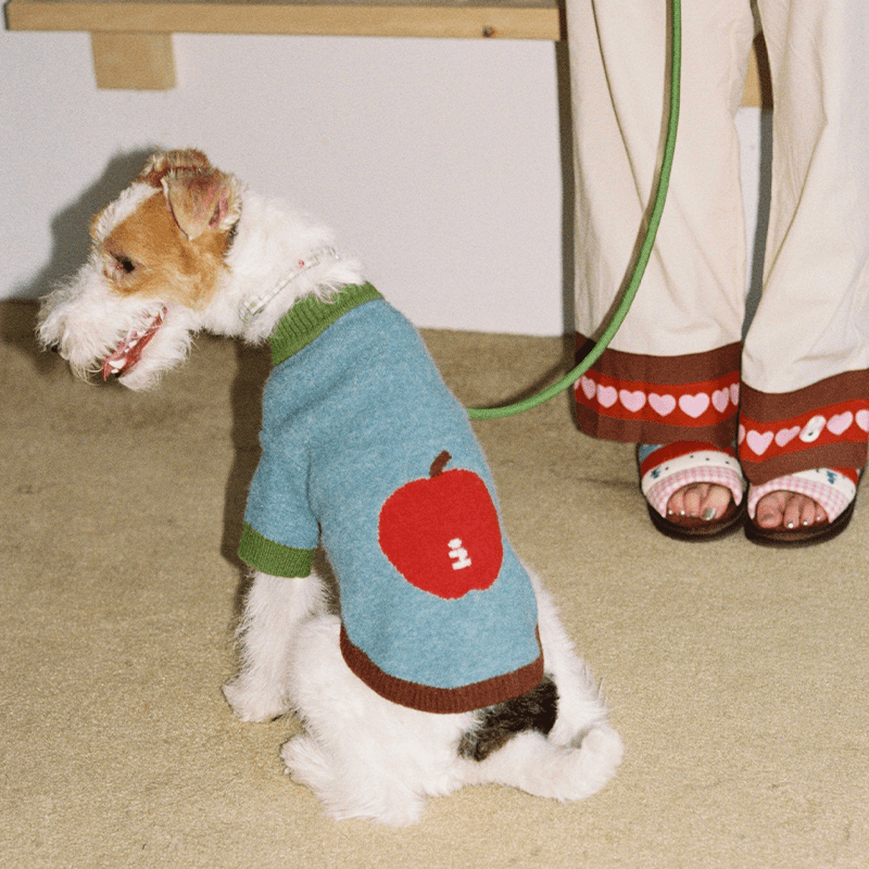 Apple Pattern Dog Knitted Sweater Pullover Cute Jumper - PIKAPIKA