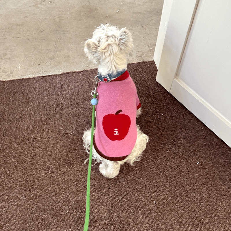 Apple Pattern Dog Knitted Sweater Pullover Cute Jumper - PIKAPIKA