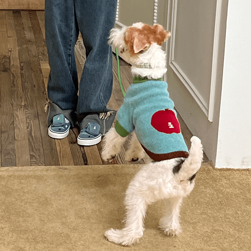 Apple Pattern Dog Knitted Sweater Pullover Cute Jumper - PIKAPIKA