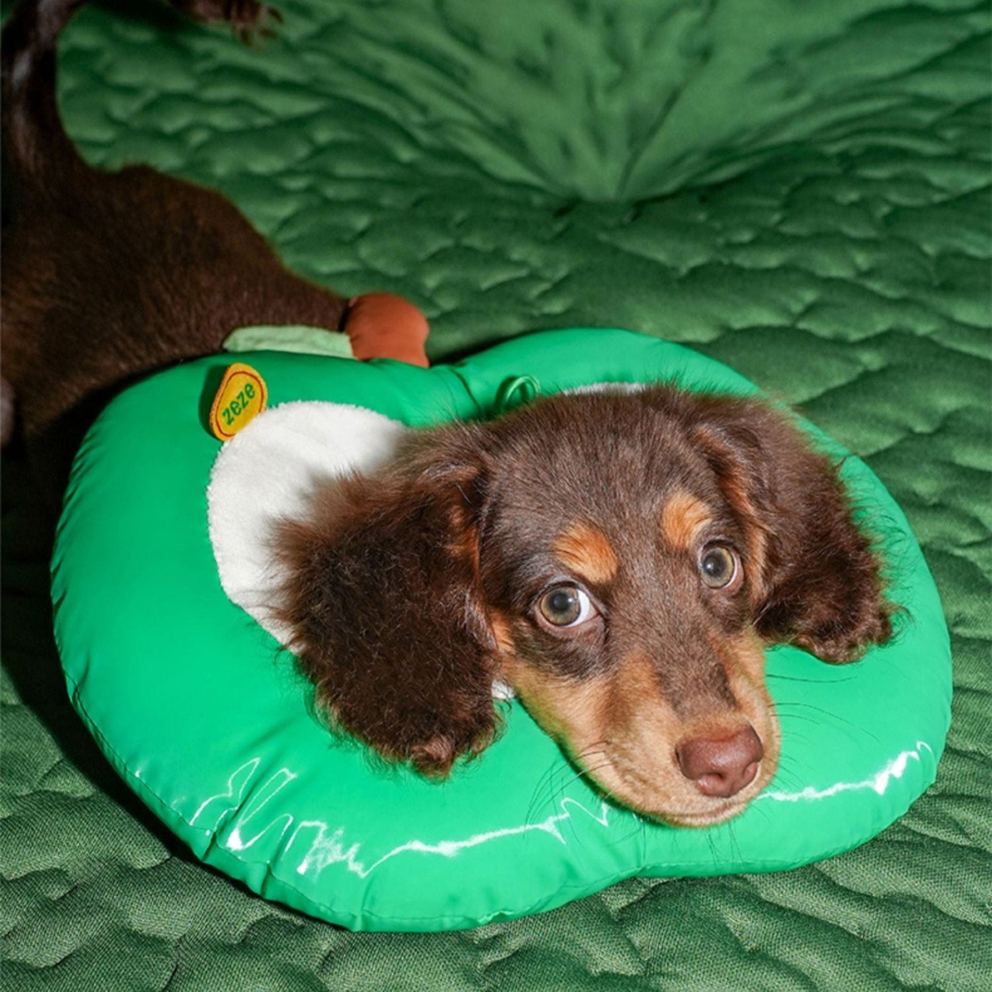 Apple Recovery Cone Adjustable for Dog & Cat - PIKAPIKA