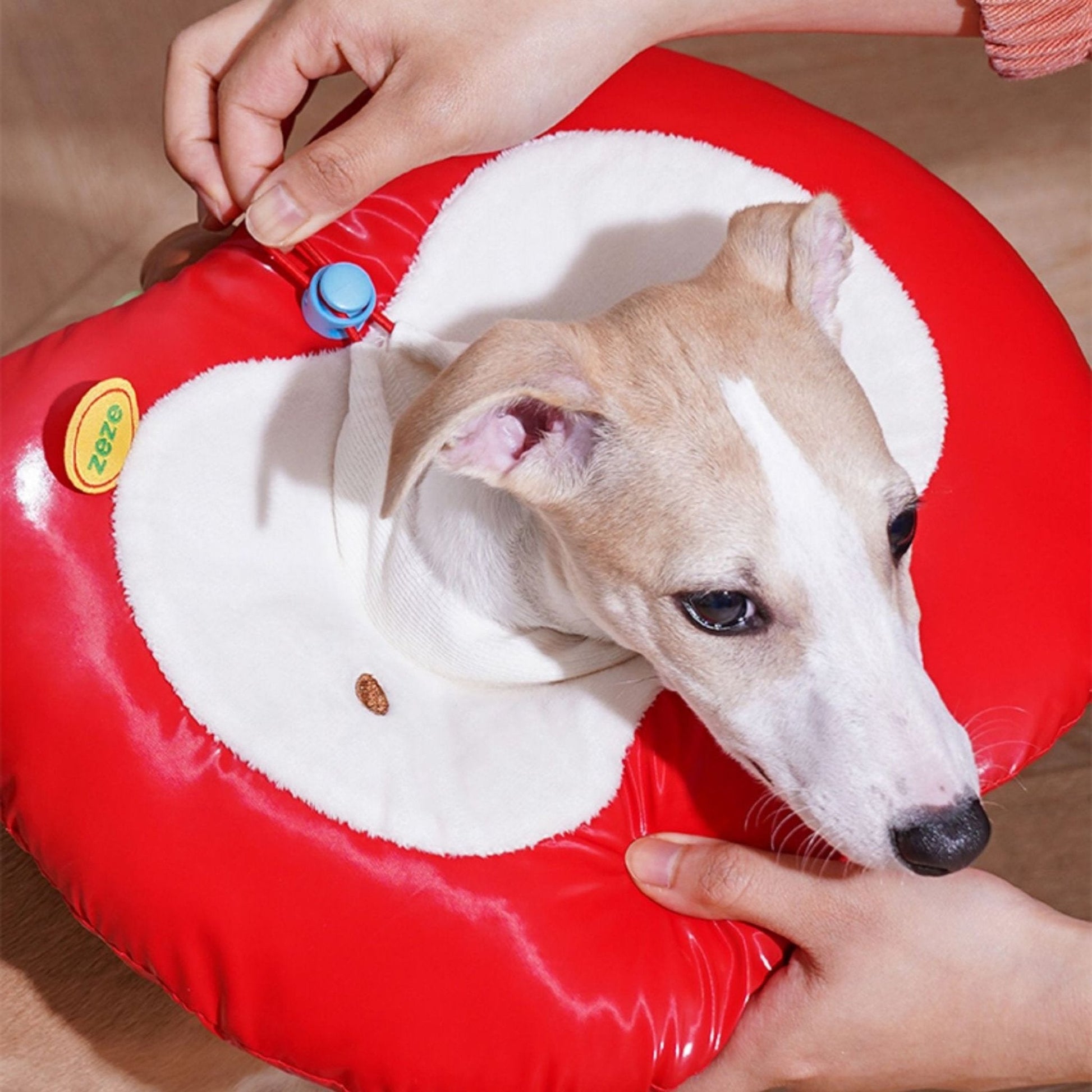 Apple Recovery Cone Adjustable for Dog & Cat - PIKAPIKA