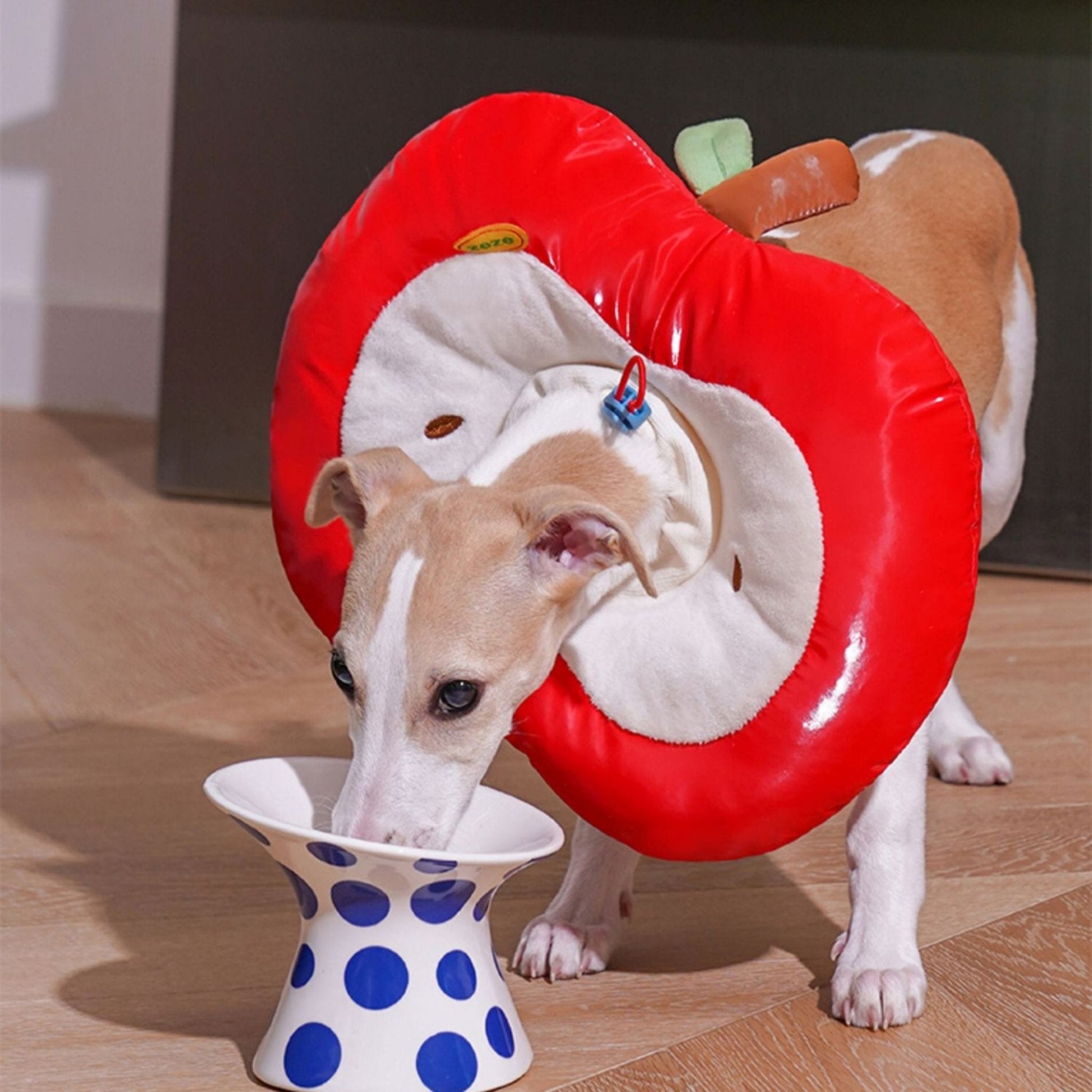 Apple Recovery Cone Adjustable for Dog & Cat - PIKAPIKA