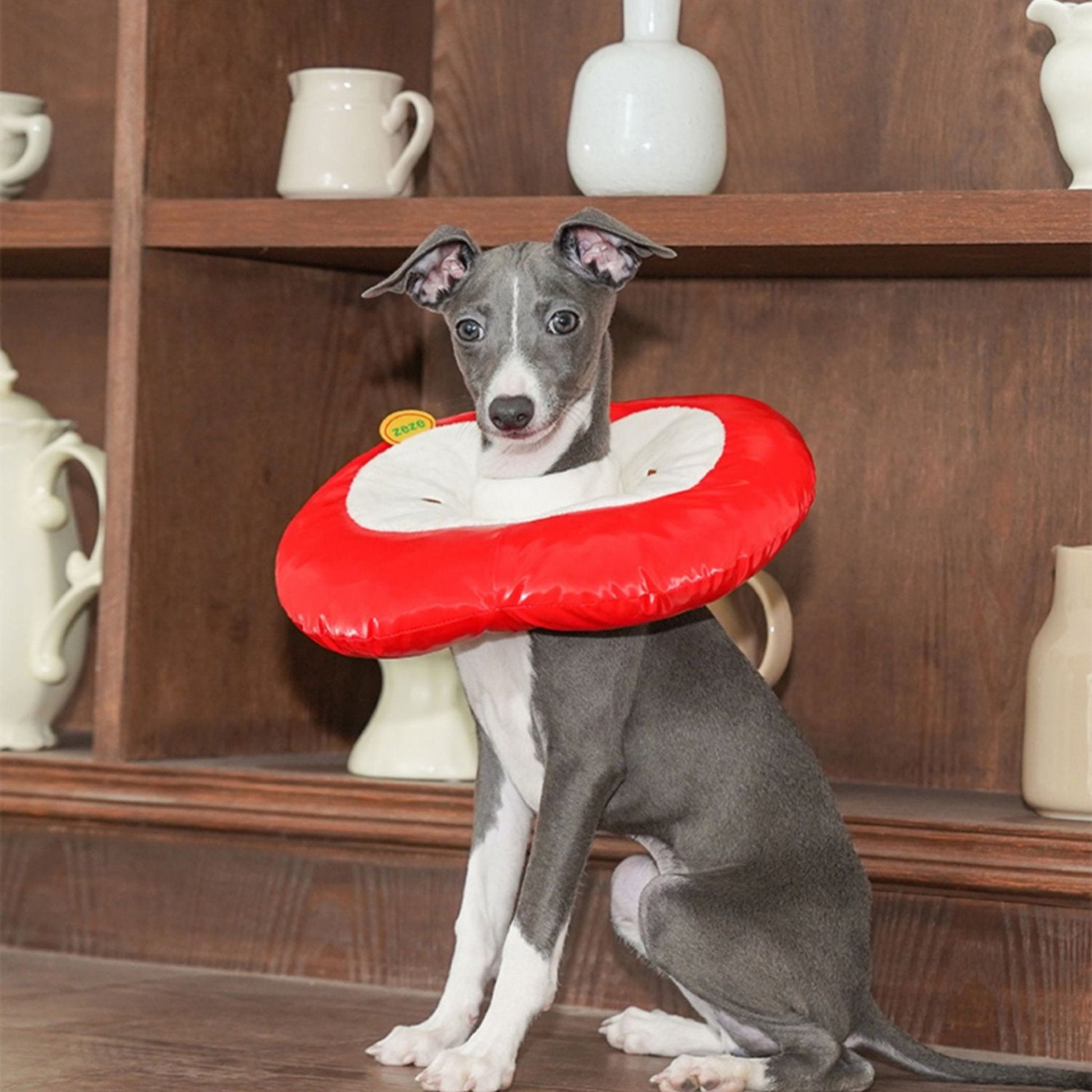 Apple Recovery Cone Adjustable for Dog & Cat - PIKAPIKA