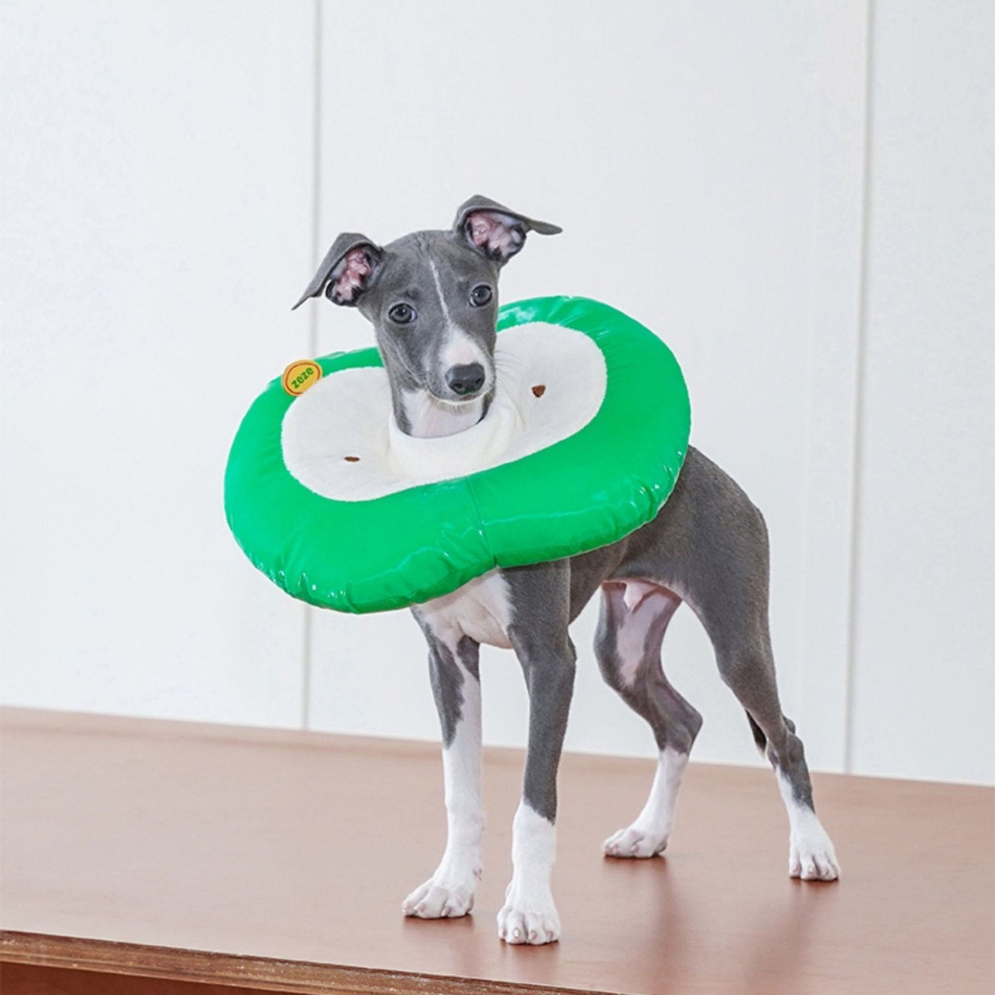 Apple Recovery Cone Adjustable for Dog & Cat - PIKAPIKA