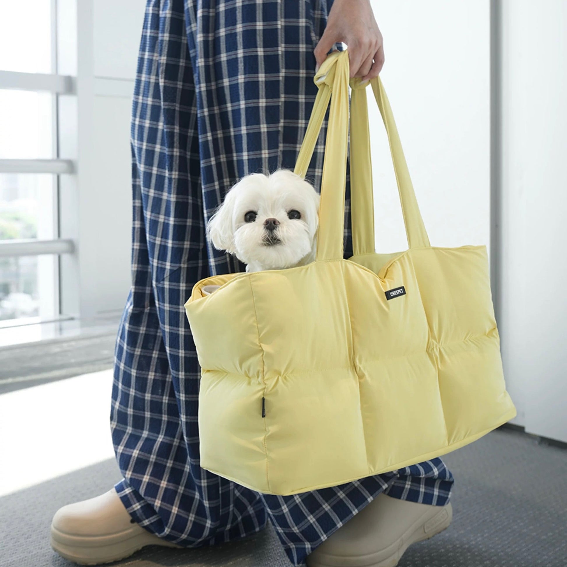 Autumn Winter Portable Carrier Large Capacity Pet Travel Tote - PIKAPIKA