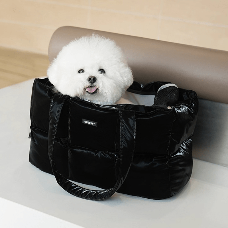 Autumn Winter Portable Carrier Large Capacity Pet Travel Tote - PIKAPIKA