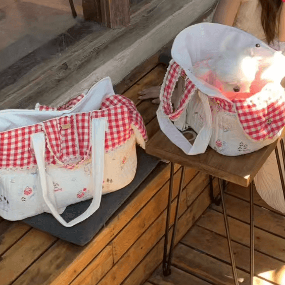 Multi-Way Pet Carrier Tote - Soft Anti-Wrinkle Bag with Detachable Strap