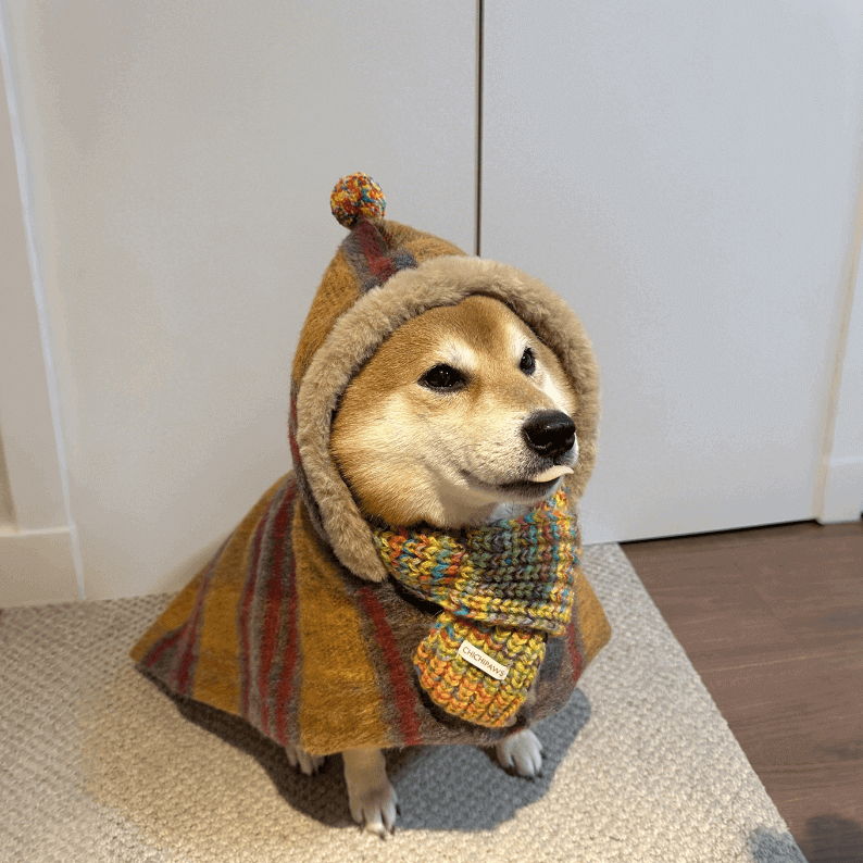 Winter Warm Cat Cape – Thickened Fleece Pet Cloak