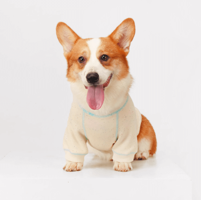Corgi Dog Clothes – Soft Non-Irritating Pet Apparel